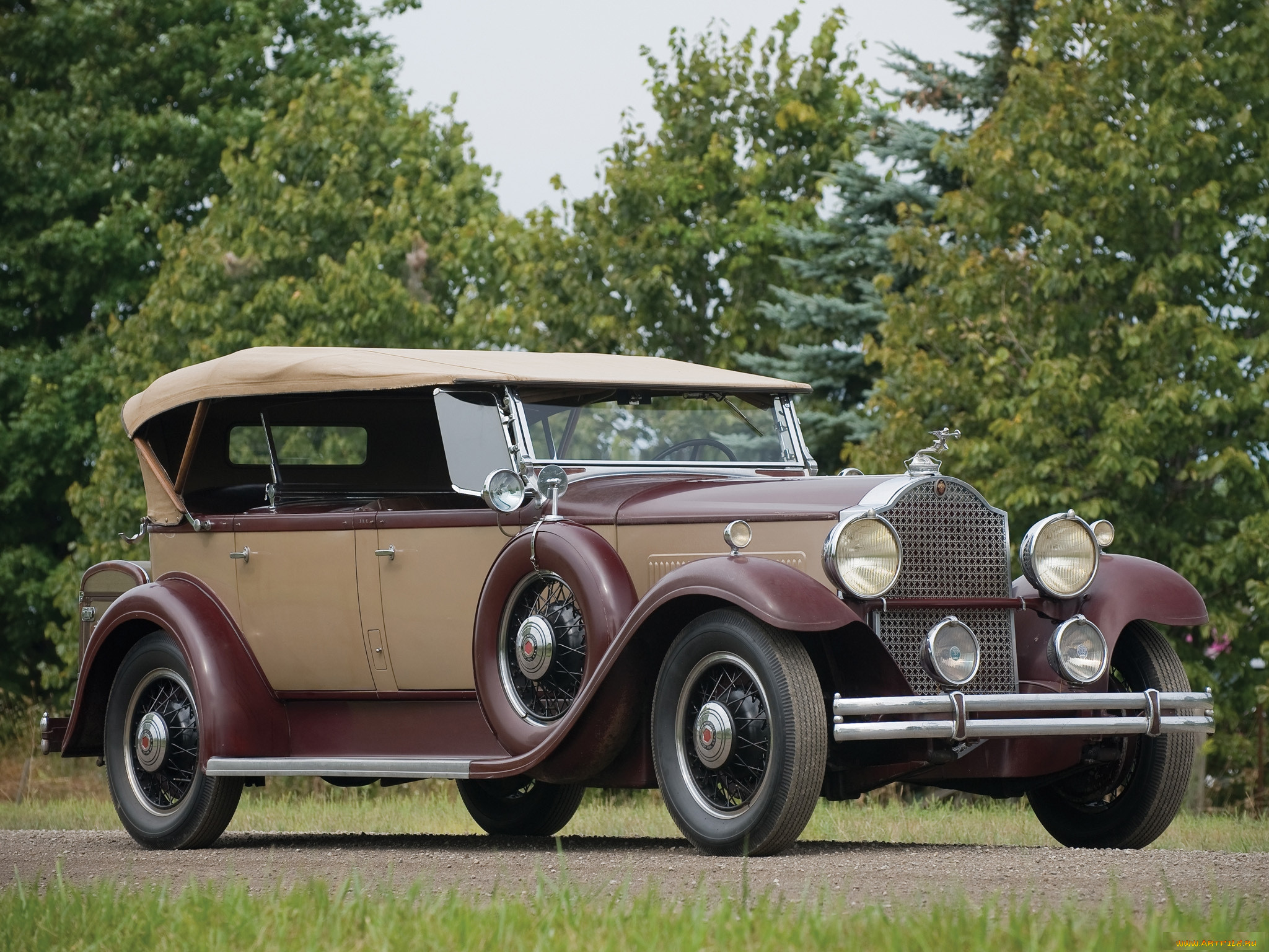 packard eight dual cowl sport phaeton 1931, , packard, 